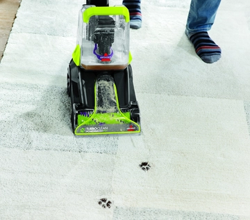 Deep Cleaning mudding paw prints from area rug.