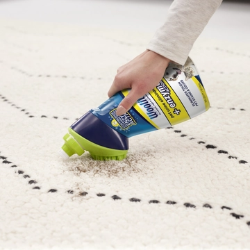 Woolite Carpet Pet Urine Eliminator cleaning dirt off area rug.