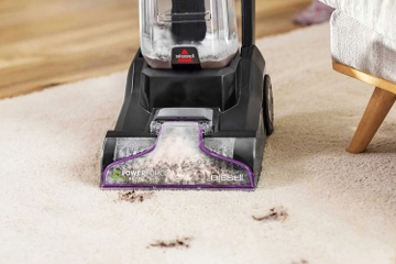 Deep cleaning muddy paw prints from carpet