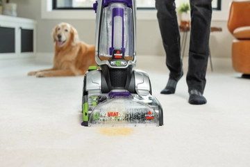 Using ProHeat 2X Revolution on pet accident with dog laying nearby.