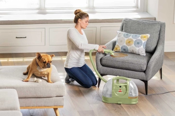 Little Green deep cleaning stain on upholstery