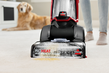 ProHeat 2X Revolution Pet Carpet Cleaner Deep cleaning spot on carpet