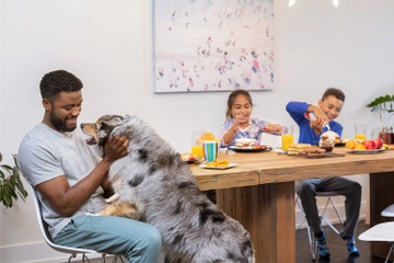 Family around dining table
